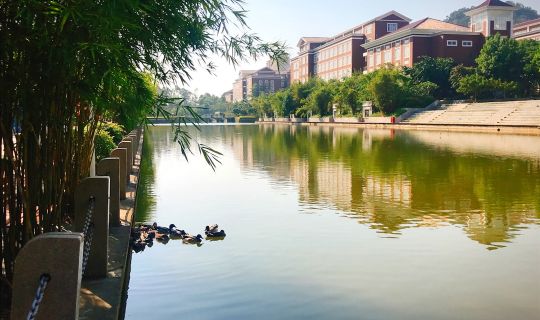河池风力发电与柴油发电机组的区别及应用场景